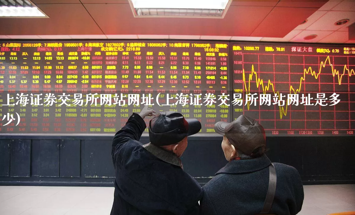 上海证券交易所网站网址(上海证券交易所网站网址是多少)_https://www.wanyuyiyao.com_深交所_第1张