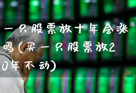 一只股票放十年会涨吗(买一只股票放20年不动)_https://www.wanyuyiyao.com_深交所_第1张