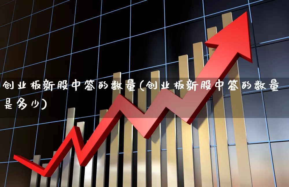 创业板新股中签的数量(创业板新股中签的数量是多少)_https://www.wanyuyiyao.com_北交所_第1张