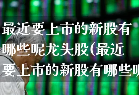 最近要上市的新股有哪些呢龙头股(最近要上市的新股有哪些呢龙头股票)_https://www.wanyuyiyao.com_科创板_第1张