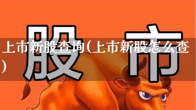 上市新股查询(上市新股怎么查)_https://www.wanyuyiyao.com_深交所_第1张