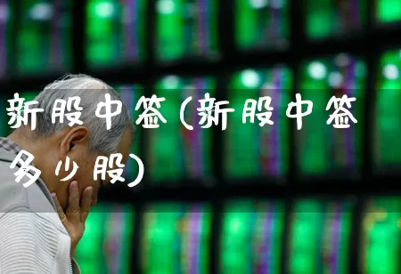 新股中签(新股中签多少股)_https://www.wanyuyiyao.com_深交所_第1张