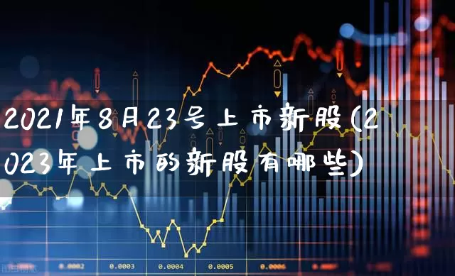 2021年8月23号上市新股(2023年上市的新股有哪些)_https://www.wanyuyiyao.com_科创板_第1张