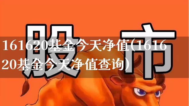 161620基金今天净值(161620基金今天净值查询)_https://www.wanyuyiyao.com_科创板_第1张