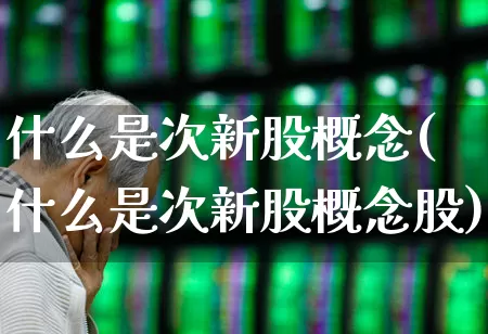 什么是次新股概念(什么是次新股概念股)_https://www.wanyuyiyao.com_创业板_第1张