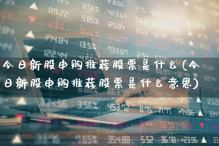 今日新股申购推荐股票是什么(今日新股申购推荐股票是什么意思)_https://www.wanyuyiyao.com_北交所_第1张