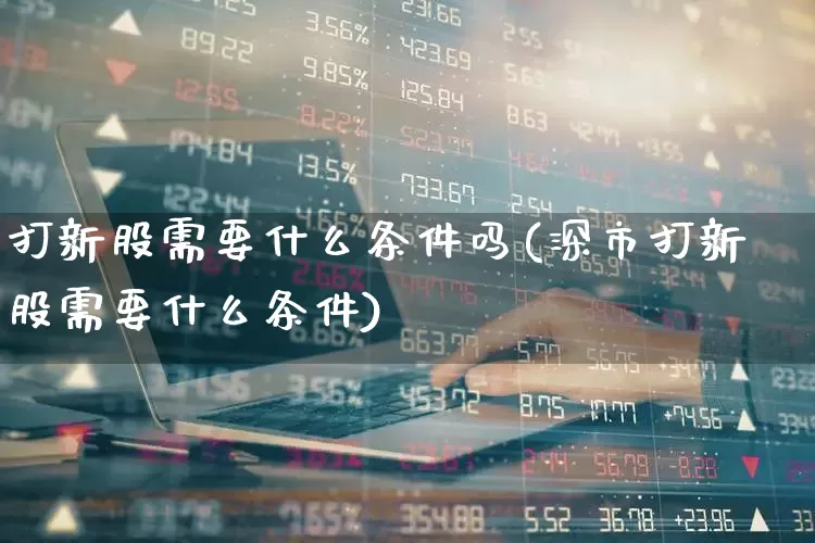 打新股需要什么条件吗(深市打新股需要什么条件)_https://www.wanyuyiyao.com_创业板_第1张