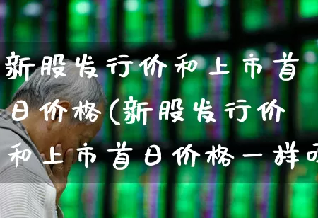 新股发行价和上市首日价格(新股发行价和上市首日价格一样吗)_https://www.wanyuyiyao.com_深交所_第1张