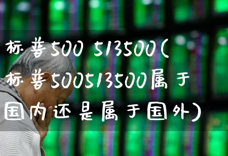 标普500 513500(标普500513500属于国内还是属于国外)_https://www.wanyuyiyao.com_上交所_第1张