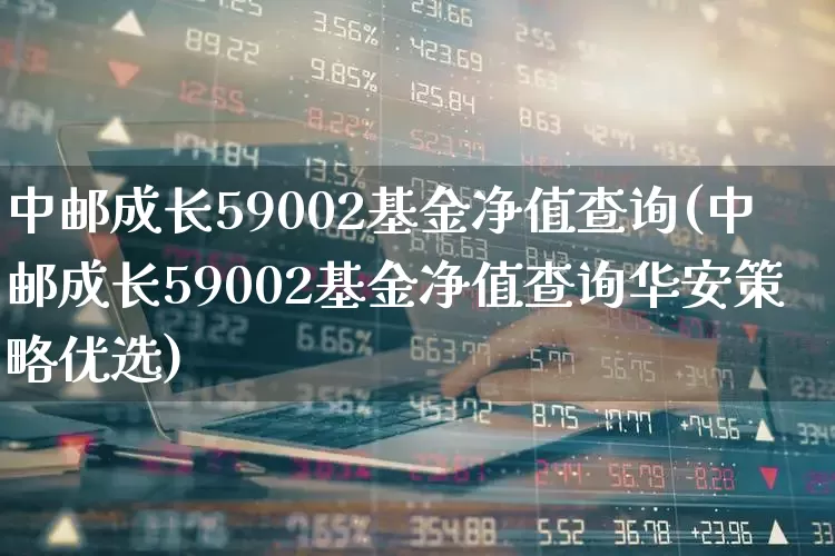 中邮成长59002基金净值查询(中邮成长59002基金净值查询华安策略优选)_https://www.wanyuyiyao.com_北交所_第1张