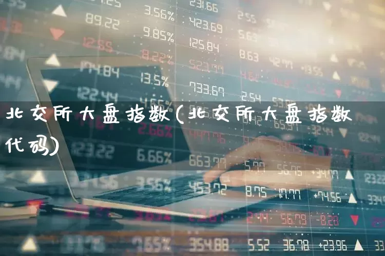 北交所大盘指数(北交所大盘指数代码)_https://www.wanyuyiyao.com_上交所_第1张