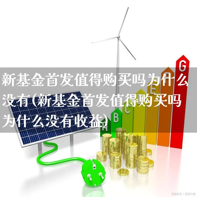 新基金首发值得购买吗为什么没有(新基金首发值得购买吗为什么没有收益)_https://www.wanyuyiyao.com_创业板_第1张