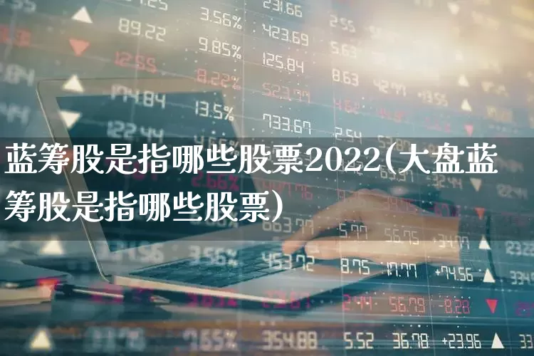蓝筹股是指哪些股票2022(大盘蓝筹股是指哪些股票)_https://www.wanyuyiyao.com_上交所_第1张