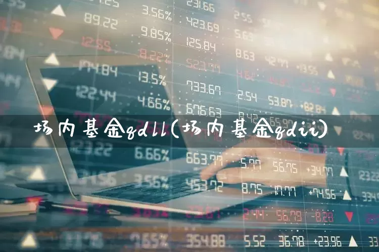 场内基金qdll(场内基金qdii)_https://www.wanyuyiyao.com_上交所_第1张