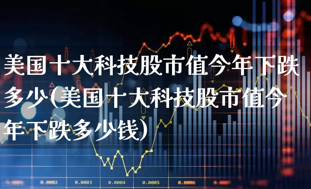 美国十大科技股市值今年下跌多少(美国十大科技股市值今年下跌多少钱)_https://www.wanyuyiyao.com_科创板_第1张