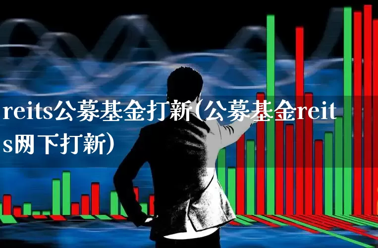 reits公募基金打新(公募基金reits网下打新)_https://www.wanyuyiyao.com_深交所_第1张