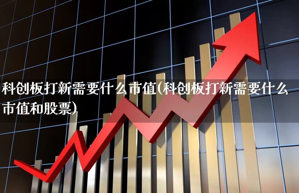 科创板打新需要什么市值(科创板打新需要什么市值和股票)_https://www.wanyuyiyao.com_上交所_第1张