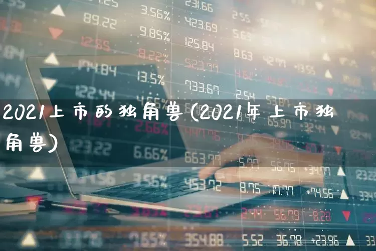 2021上市的独角兽(2021年上市独角兽)_https://www.wanyuyiyao.com_北交所_第1张