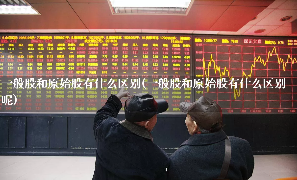 一般股和原始股有什么区别(一般股和原始股有什么区别呢)_https://www.wanyuyiyao.com_深交所_第1张