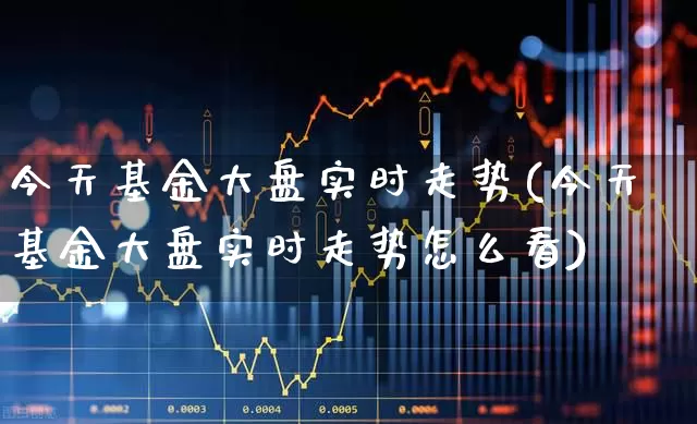 今天基金大盘实时走势(今天基金大盘实时走势怎么看)_https://www.wanyuyiyao.com_创业板_第1张
