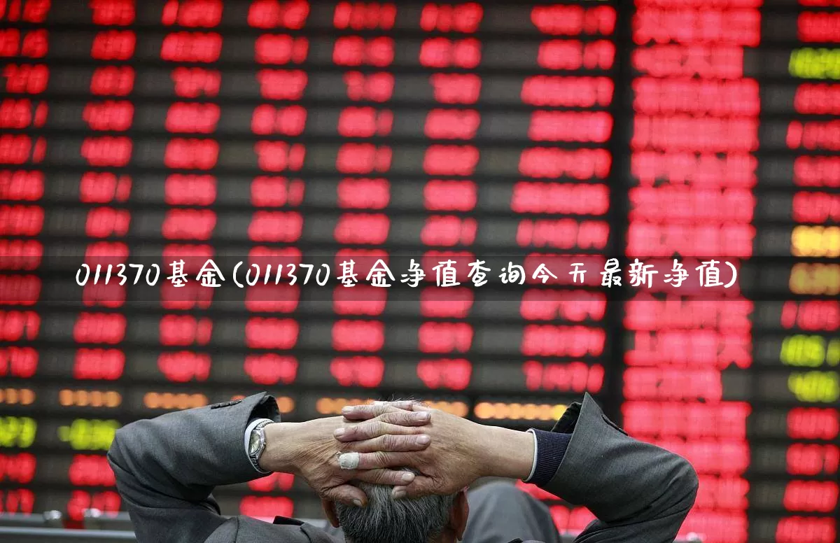 011370基金(011370基金净值查询今天最新净值)_https://www.wanyuyiyao.com_上交所_第1张