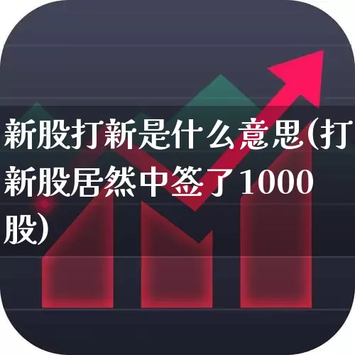 新股打新是什么意思(打新股居然中签了1000股)_https://www.wanyuyiyao.com_科创板_第1张