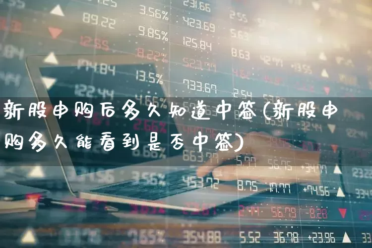新股申购后多久知道中签(新股申购多久能看到是否中签)_https://www.wanyuyiyao.com_上交所_第1张