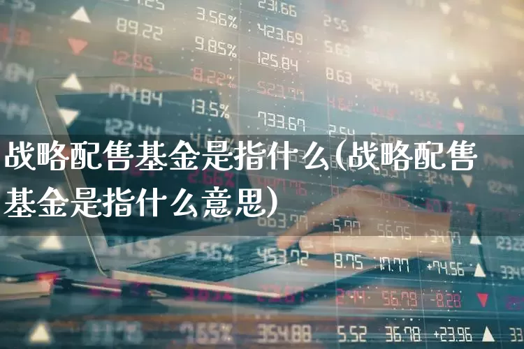 战略配售基金是指什么(战略配售基金是指什么意思)_https://www.wanyuyiyao.com_创业板_第1张