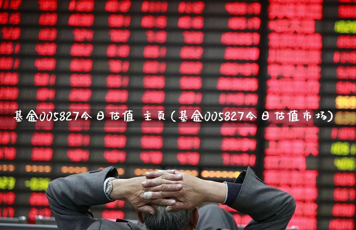 基金005827今日估值 主页(基金005827今日估值市场)_https://www.wanyuyiyao.com_科创板_第1张