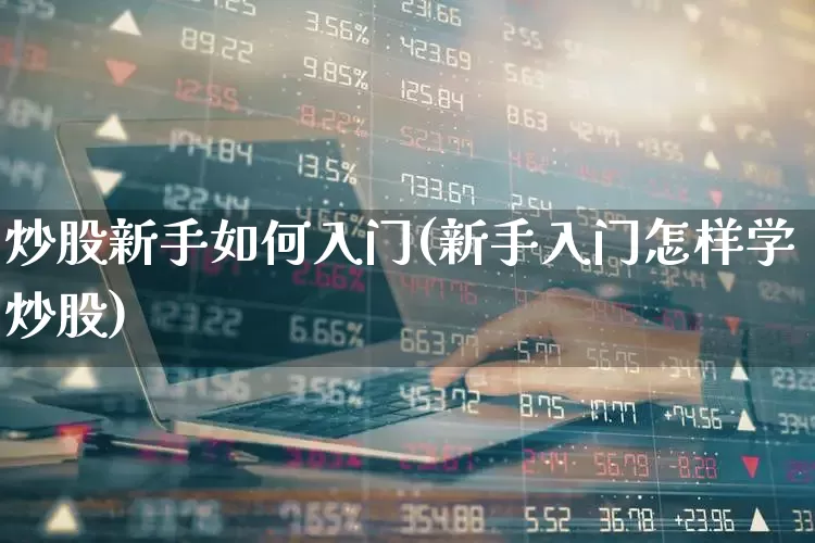 炒股新手如何入门(新手入门怎样学炒股)_https://www.wanyuyiyao.com_上交所_第1张