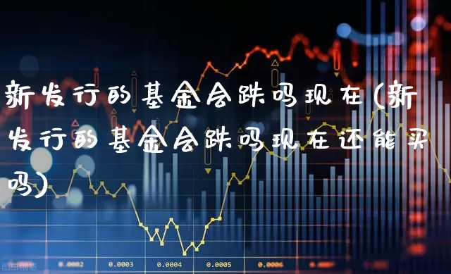 新发行的基金会跌吗现在(新发行的基金会跌吗现在还能买吗)_https://www.wanyuyiyao.com_科创板_第1张