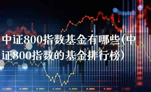 中证800指数基金有哪些(中证800指数的基金排行榜)_https://www.wanyuyiyao.com_科创板_第1张