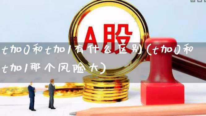 t加0和t加1有什么区别(t加0和t加1那个风险大)_https://www.wanyuyiyao.com_上交所_第1张