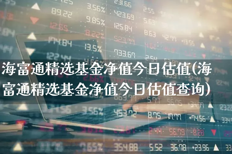海富通精选基金净值今日估值(海富通精选基金净值今日估值查询)_https://www.wanyuyiyao.com_上交所_第1张