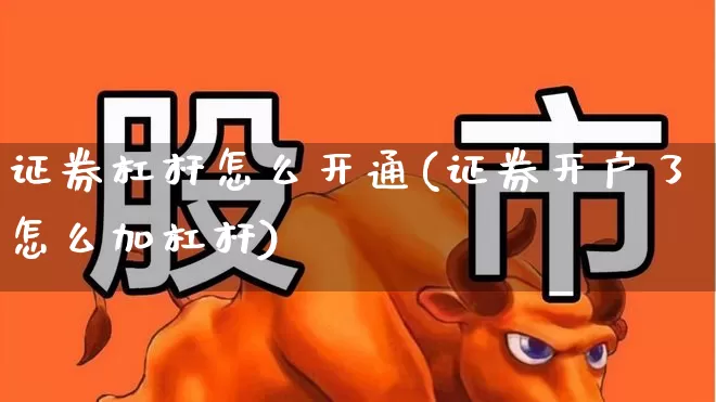 证券杠杆怎么开通(证券开户了怎么加杠杆)_https://www.wanyuyiyao.com_上交所_第1张