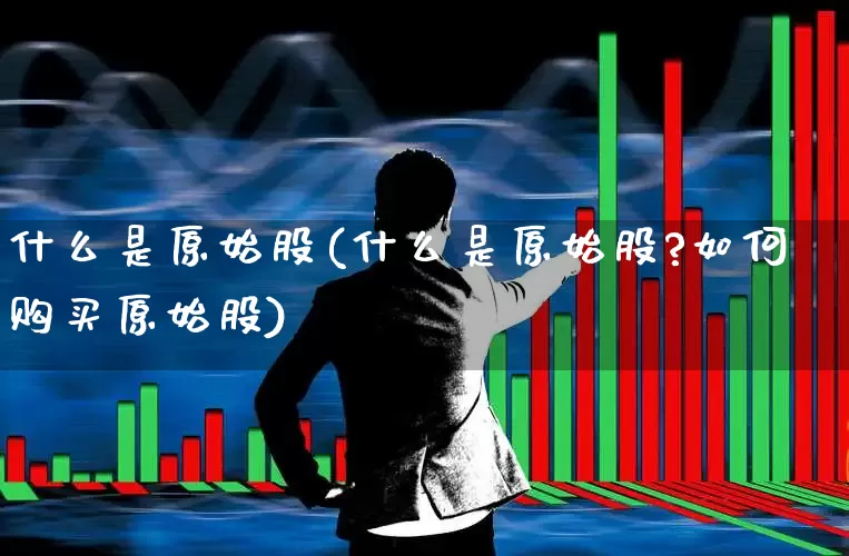 什么是原始股(什么是原始股?如何购买原始股)_https://www.wanyuyiyao.com_上交所_第1张