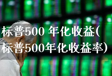 标普500 年化收益(标普500年化收益率)_https://www.wanyuyiyao.com_上交所_第1张