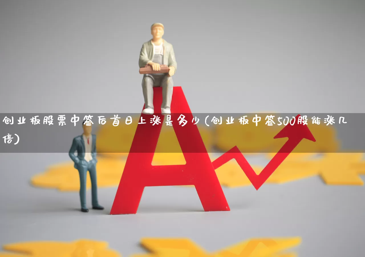 创业板股票中签后首日上涨是多少(创业板中签500股能涨几倍)_https://www.wanyuyiyao.com_上交所_第1张