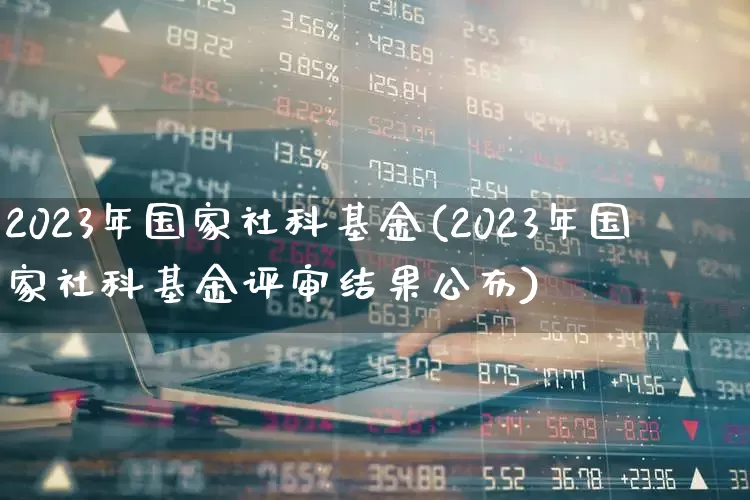 2023年国家社科基金(2023年国家社科基金评审结果公布)_https://www.wanyuyiyao.com_上交所_第1张