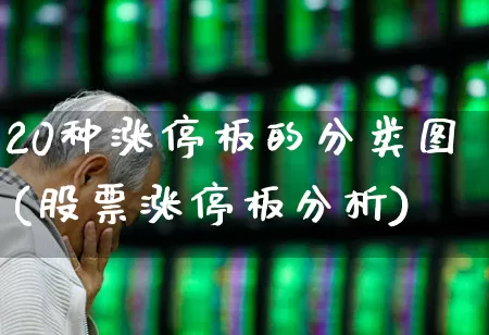 20种涨停板的分类图(股票涨停板分析)_https://www.wanyuyiyao.com_创业板_第1张