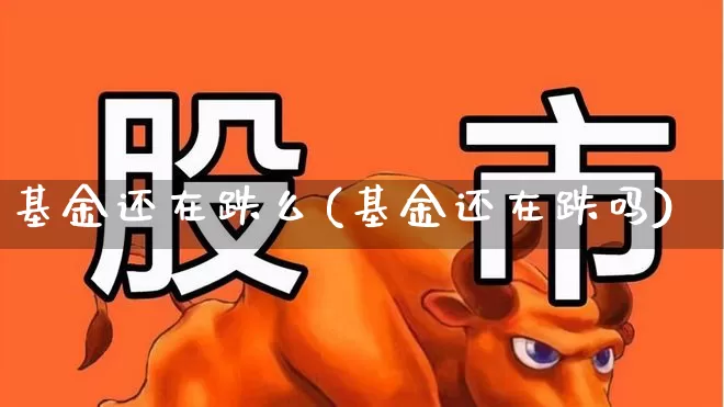 基金还在跌么(基金还在跌吗)_https://www.wanyuyiyao.com_北交所_第1张