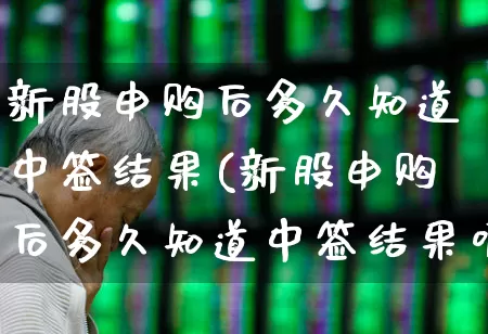 新股申购后多久知道中签结果(新股申购后多久知道中签结果呢)_https://www.wanyuyiyao.com_深交所_第1张