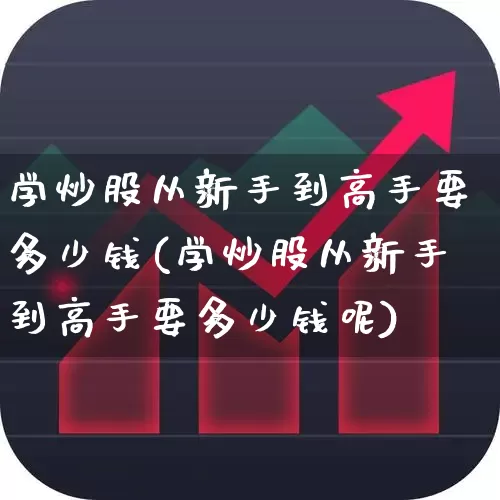 学炒股从新手到高手要多少钱(学炒股从新手到高手要多少钱呢)_https://www.wanyuyiyao.com_深交所_第1张