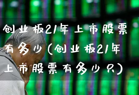 创业板21年上市股票有多少(创业板21年上市股票有多少只)_https://www.wanyuyiyao.com_上交所_第1张