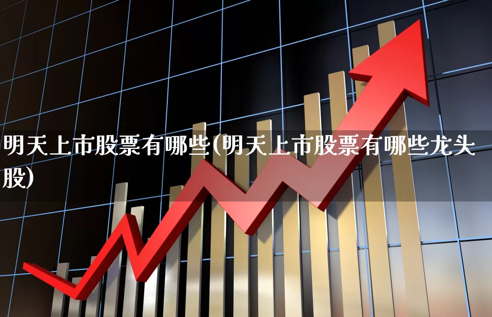 明天上市股票有哪些(明天上市股票有哪些龙头股)_https://www.wanyuyiyao.com_深交所_第1张