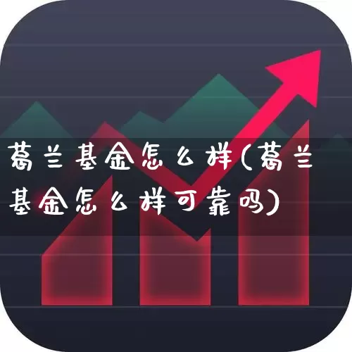 葛兰基金怎么样(葛兰基金怎么样可靠吗)_https://www.wanyuyiyao.com_创业板_第1张