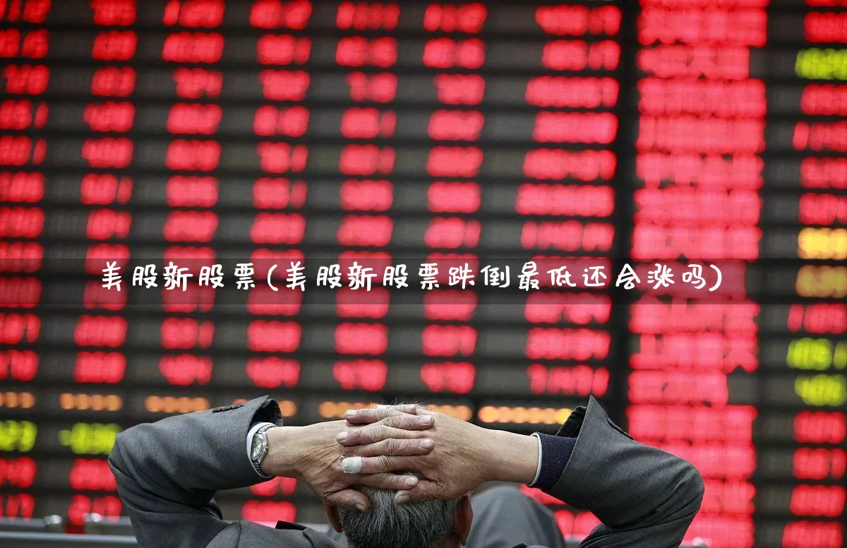 美股新股票(美股新股票跌倒最低还会涨吗)_https://www.wanyuyiyao.com_上交所_第1张