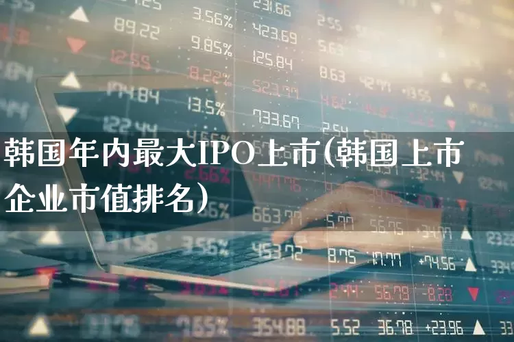 韩国年内最大IPO上市(韩国上市企业市值排名)_https://www.wanyuyiyao.com_深交所_第1张
