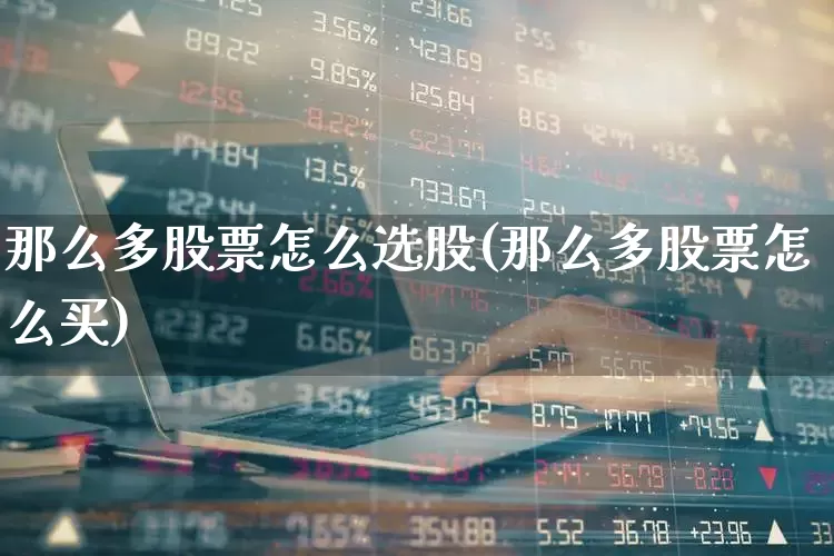 那么多股票怎么选股(那么多股票怎么买)_https://www.wanyuyiyao.com_深交所_第1张