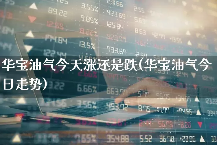 华宝油气今天涨还是跌(华宝油气今日走势)_https://www.wanyuyiyao.com_上交所_第1张